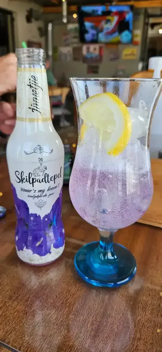 Skilpadtepel Kaalgatperske Jinnetjie-bottel en 'n hoë glas met ligpers drank, ys en 'n suurlemoen skyfie